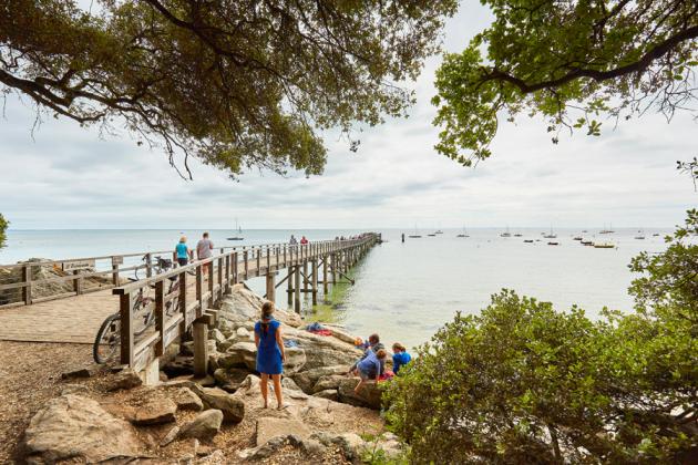 Le Bois de la Chaise  Forêt de l'Île de Noirmoutier